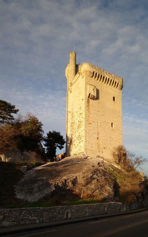 Вілла La Petite Seigneurette Вільнев-лез-Авіньйон Екстер'єр фото